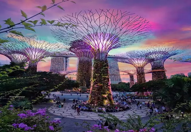 باغ های کنار خلیج - سنگاپور