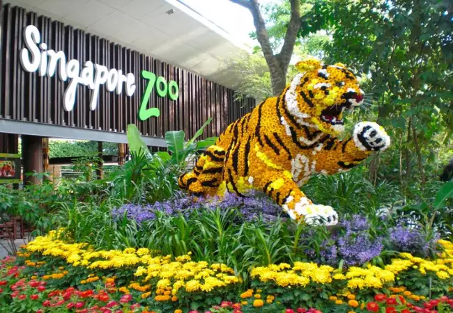 باغ وحش سنگاپور