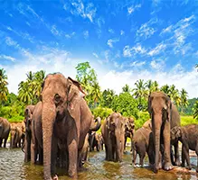 تورهای ترکیبی بنتوتا تانگاله کلمبو