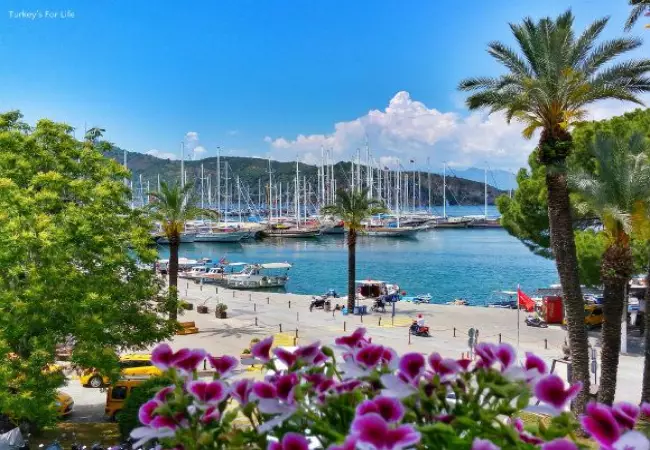 جزیره چشمه | ازمیر 