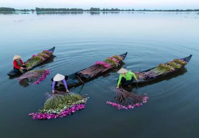 دلتای مکونگ